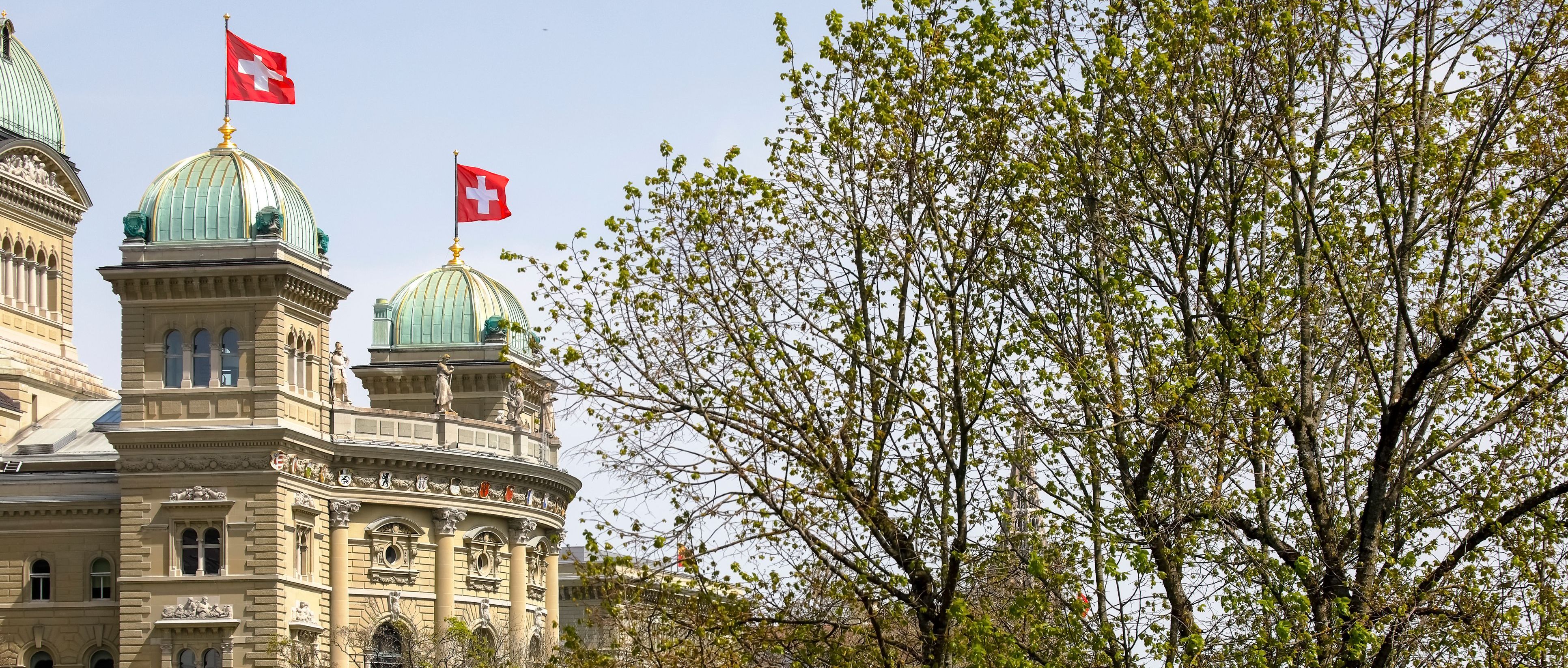 In der Schweiz Jura studieren – in Deutschland als Jurist arbeiten?
